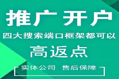 如何利用百度竞价代理：真实案例分析